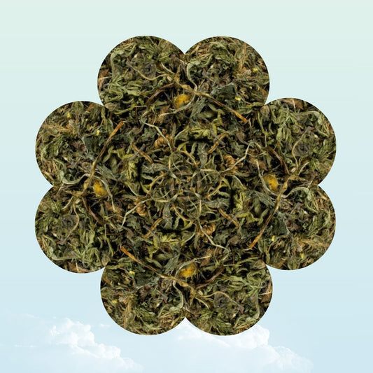 Dried dandelion herb treat for guinea pigs — My Sleepy Friend