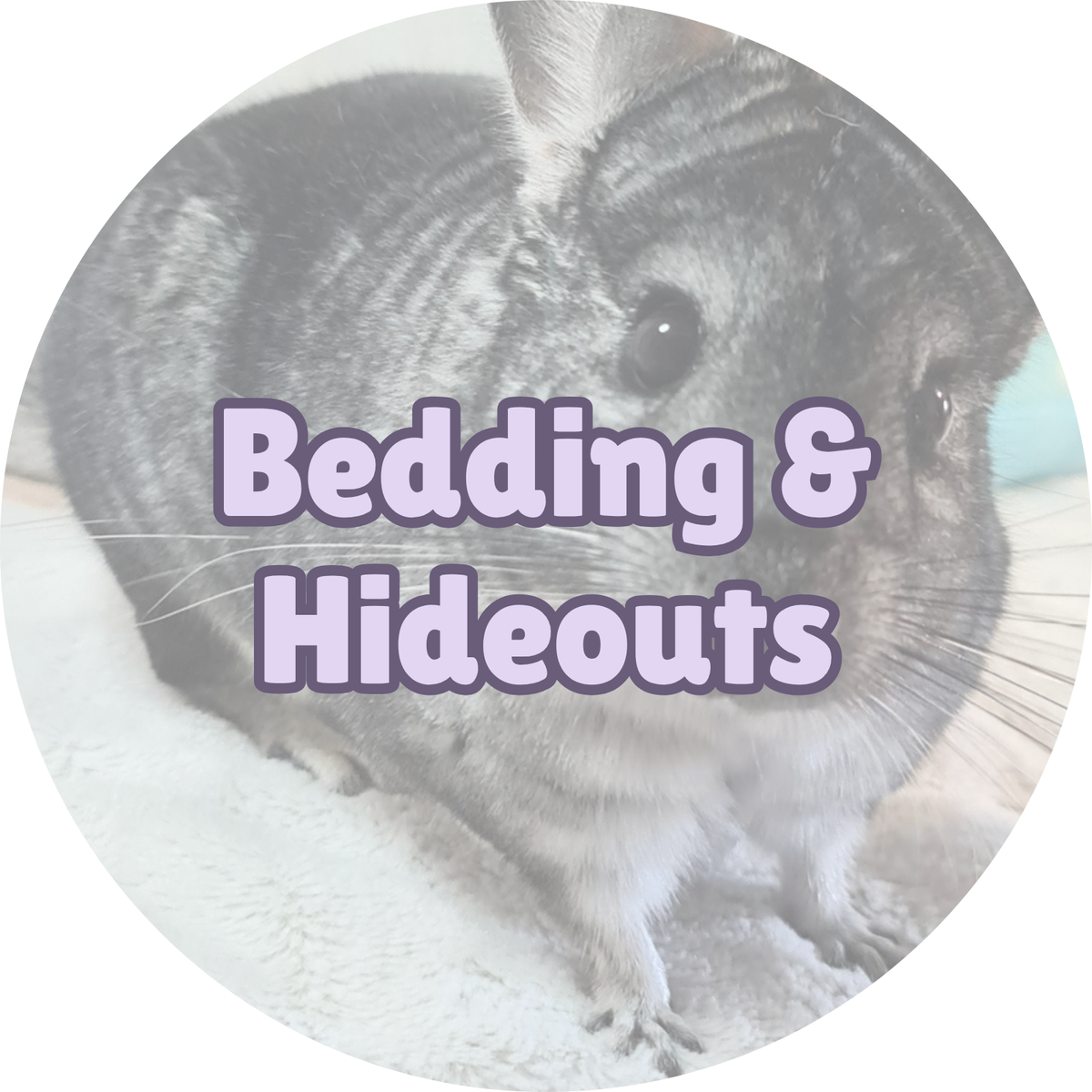 Bedding & Hideouts