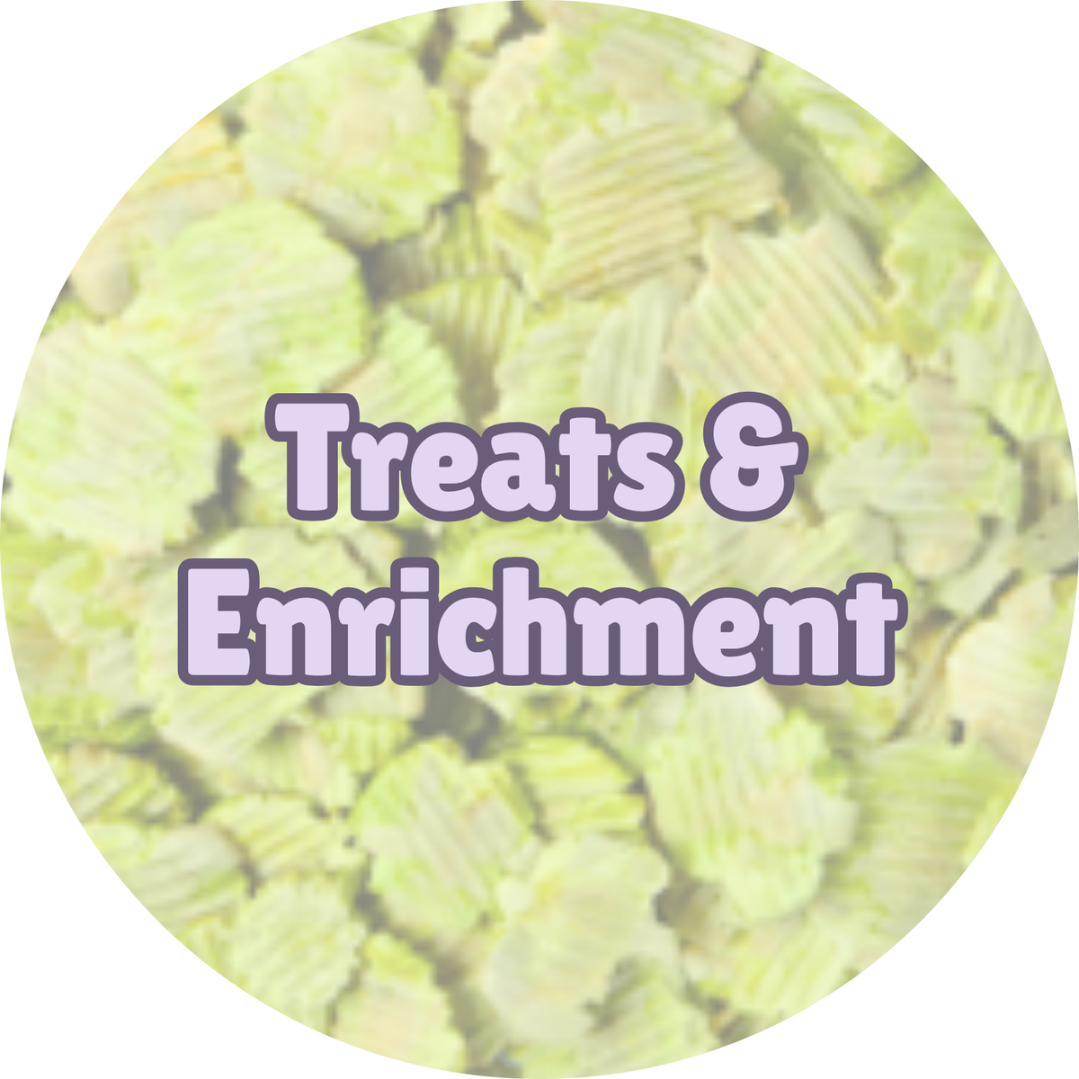 Treats & Enrichment