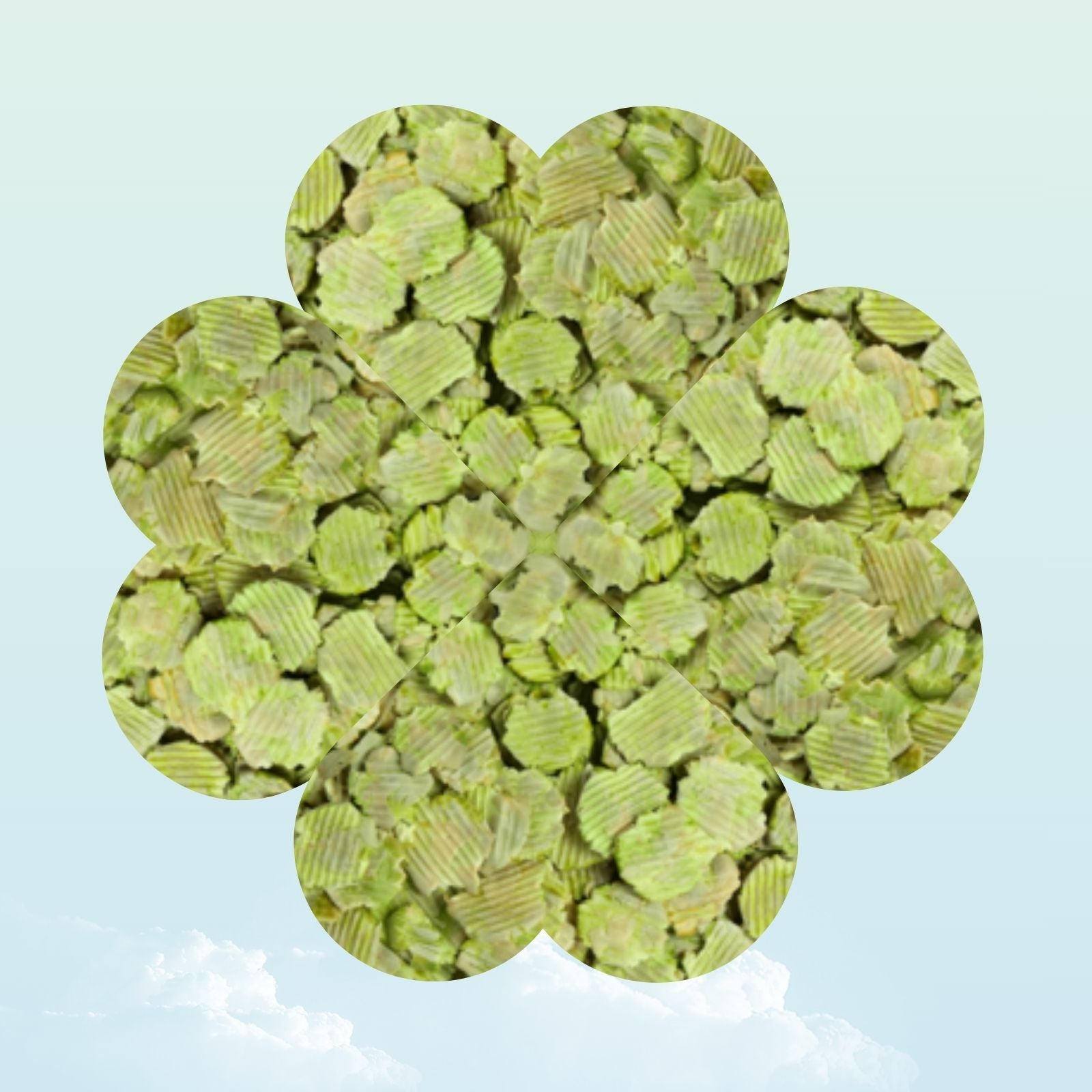 Dried pea flakes treat for guinea pigs — My Sleepy Friend