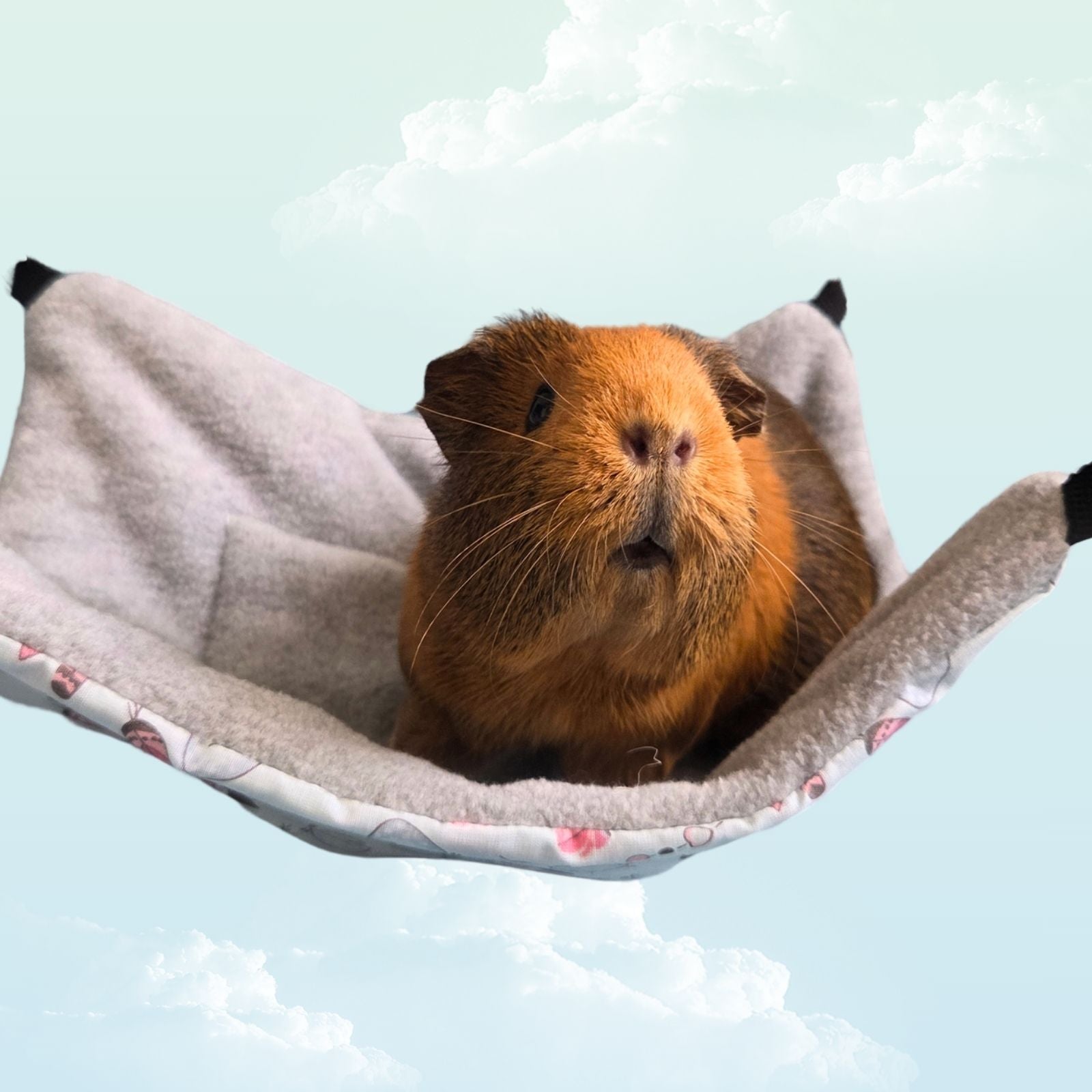 Handmade Reversible Snuggle Hammock for Small Animals - Blue Feathers and Grey with a happy guinea pig