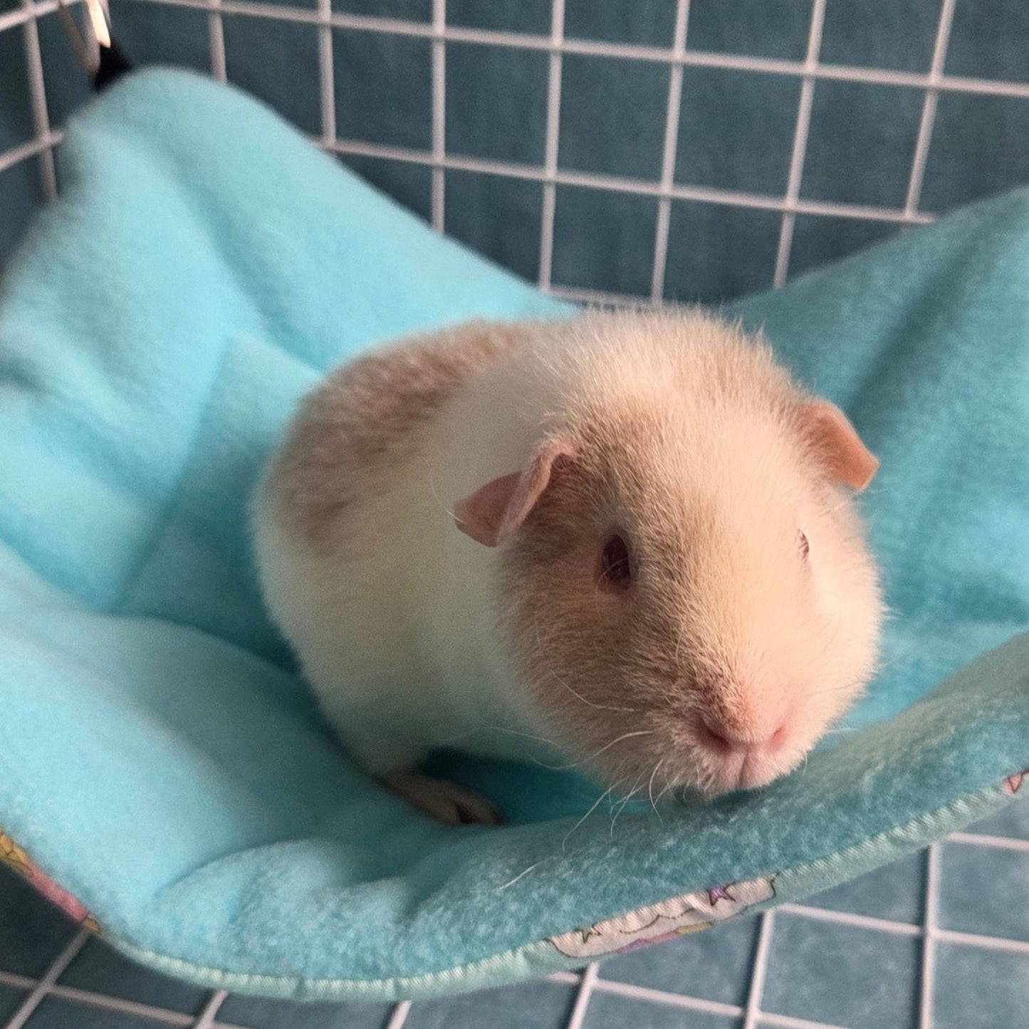 Handmade Reversible Snuggle Hammock for Small Animals - Blue Unicorns - closeup