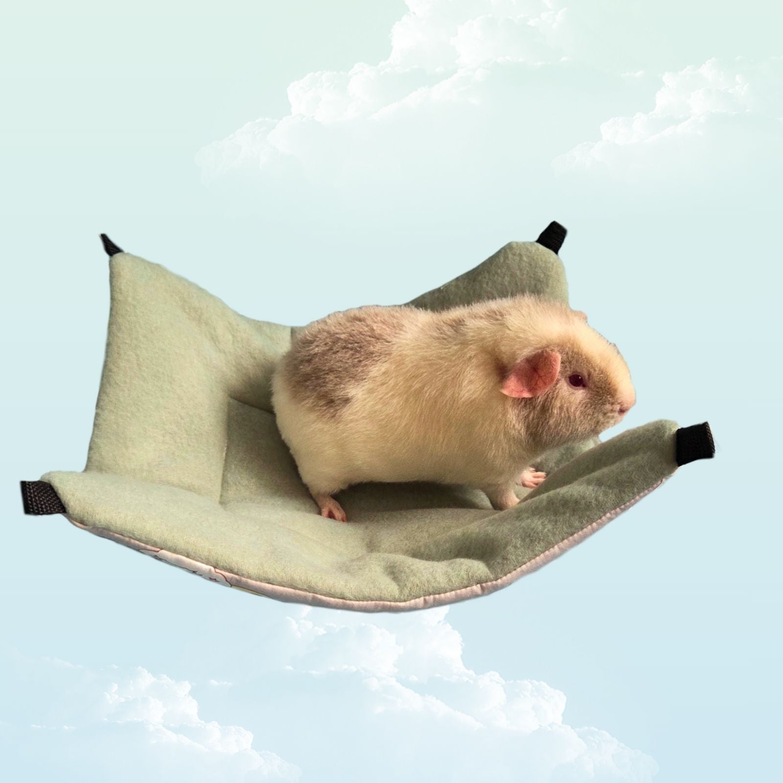 Handmade Reversible Snuggle Hammock for Small Animals - Dusty Green / Mint with a standing guinea pig