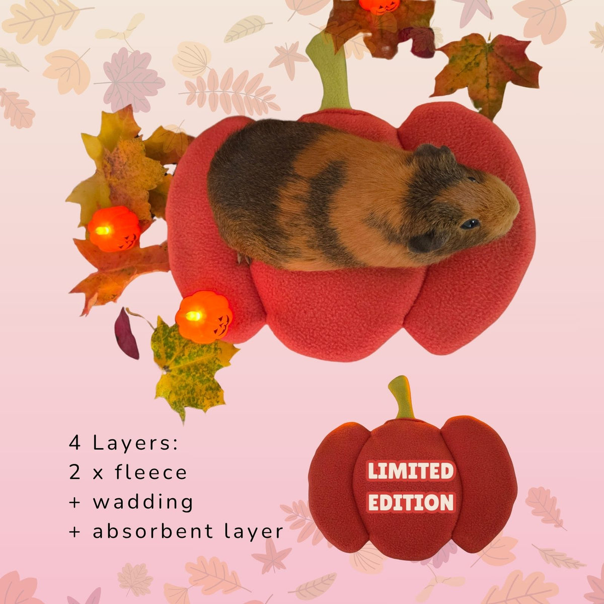 More information about the Pumpkin Bed