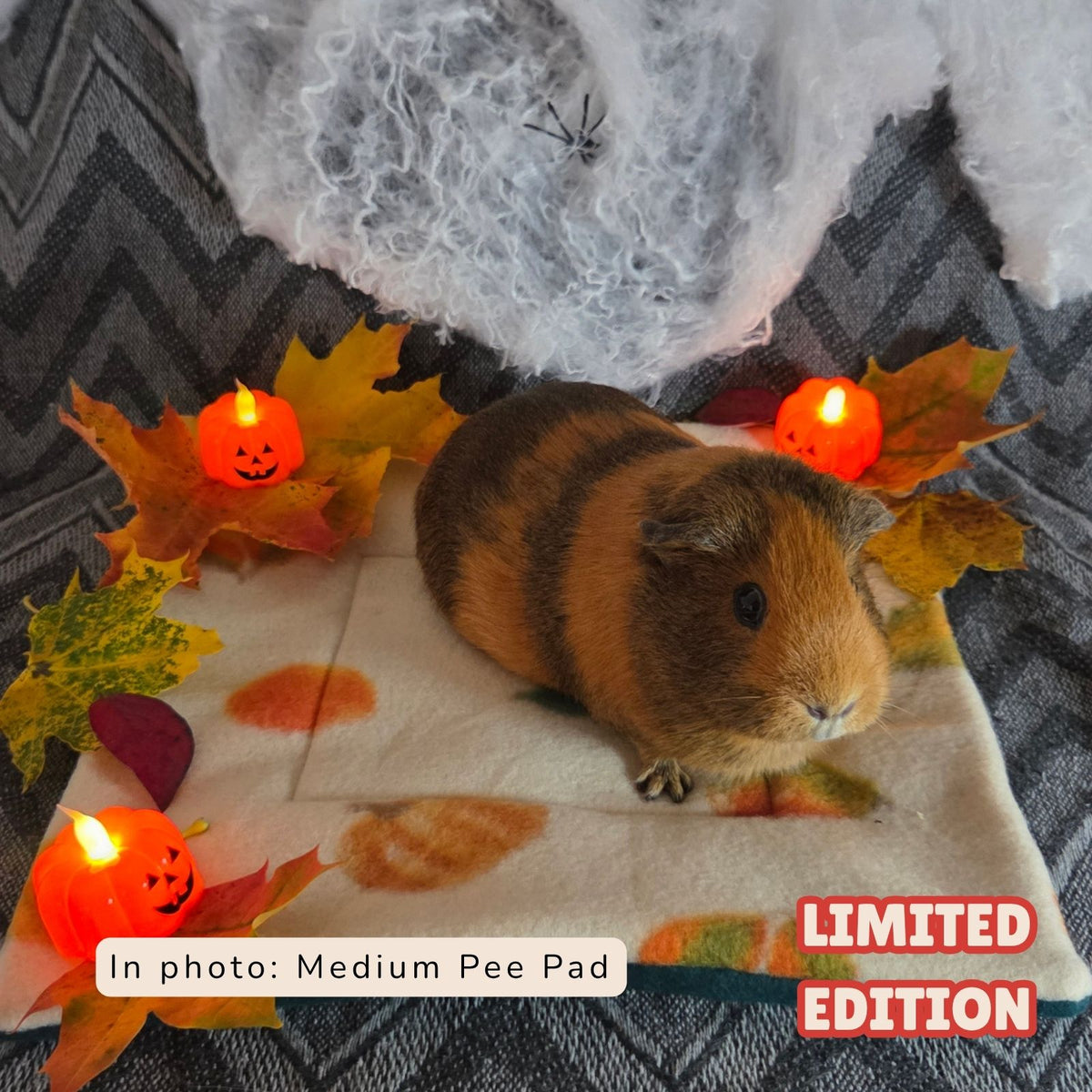Medium Autumn Leaves Pee Pad