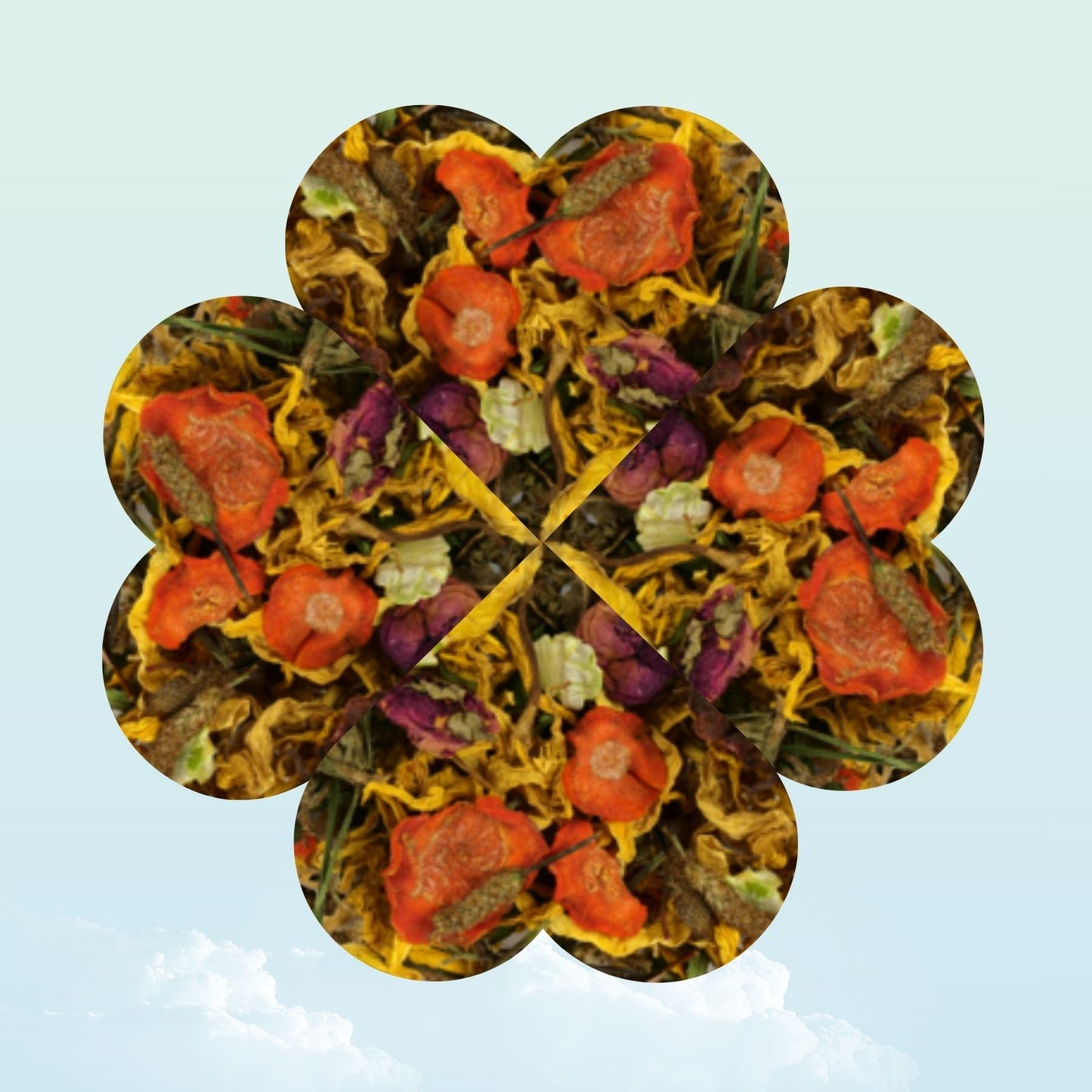 Dried summer flowers treat for guinea pigs — My Sleepy Friend
