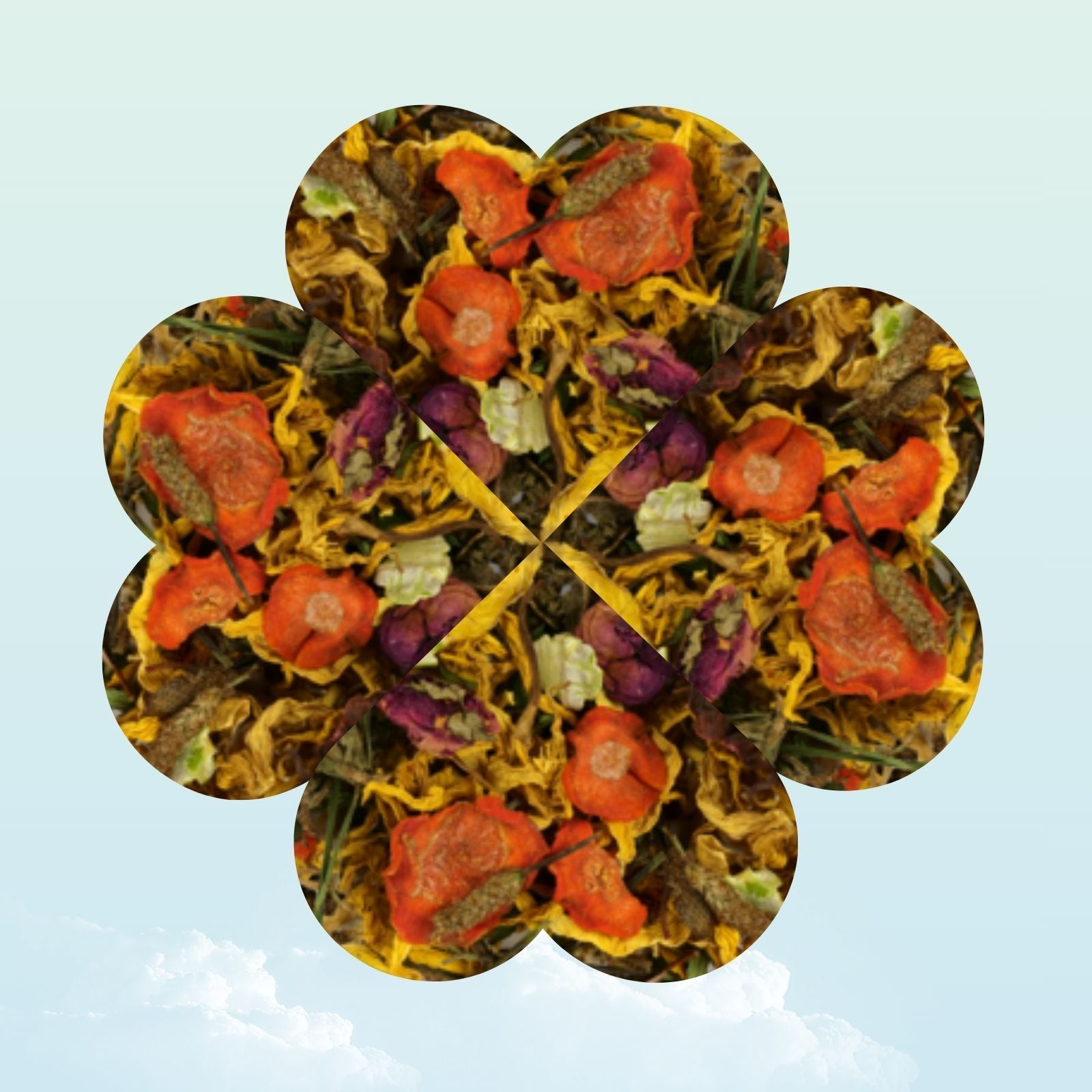 Dried summer flowers treat for guinea pigs — My Sleepy Friend