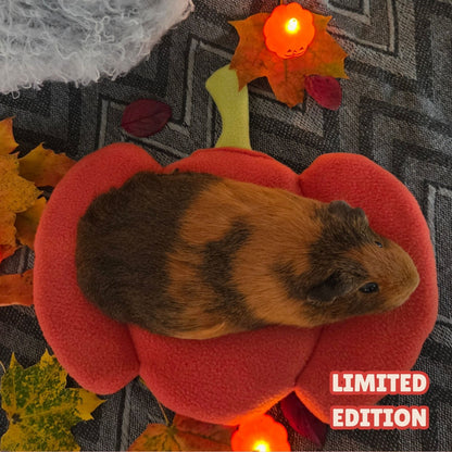 Handmade Pumpkin Snuggle Bed Limited Edition Autumn