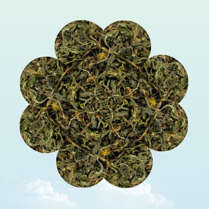 Dried dandelion herb treat for guinea pigs — My Sleepy Friend