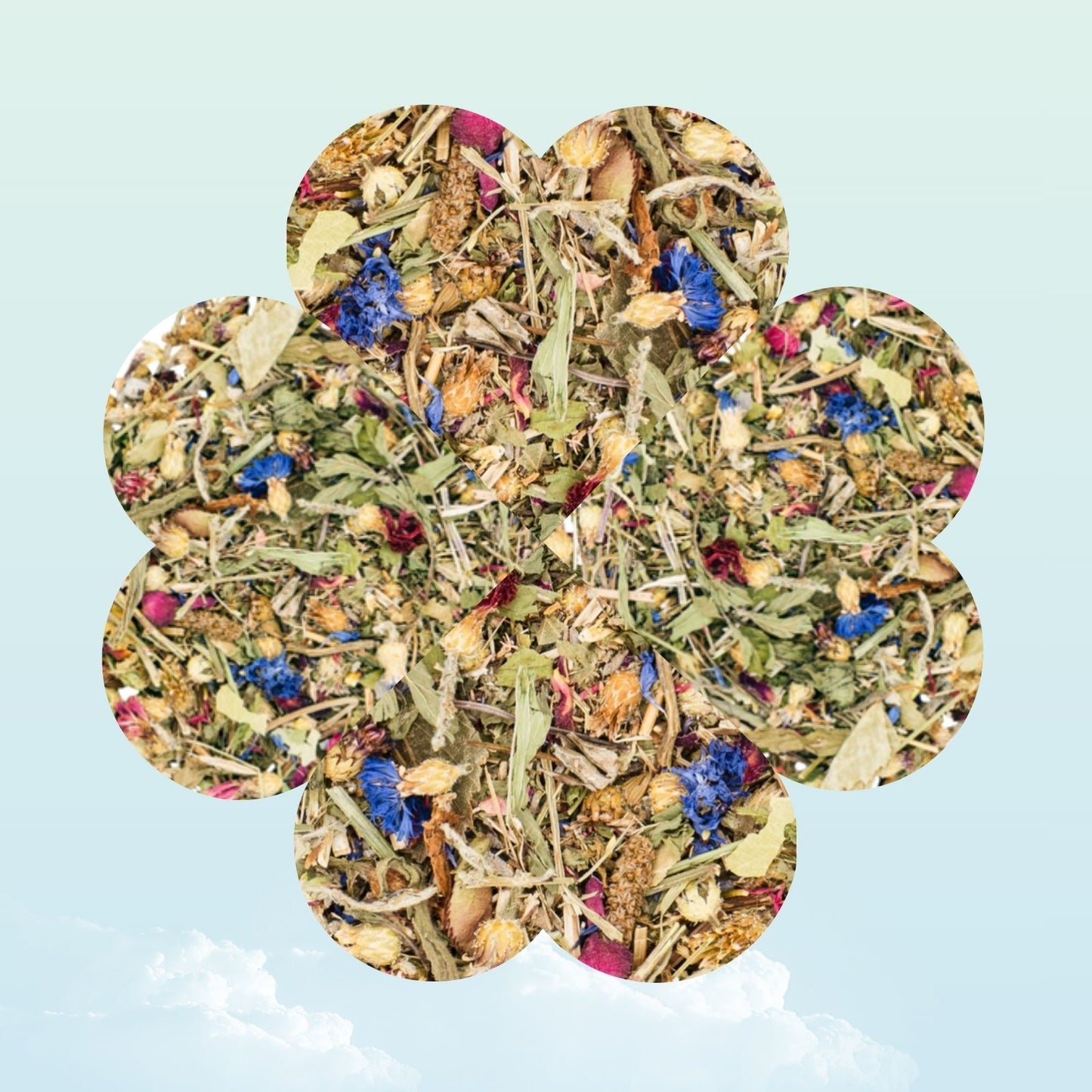 Dried herb garden mix treat for guinea pigs — My Sleepy Friend