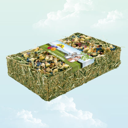 Hay rack with dried flowers enrichment treat for guinea pigs - My Sleepy Friend