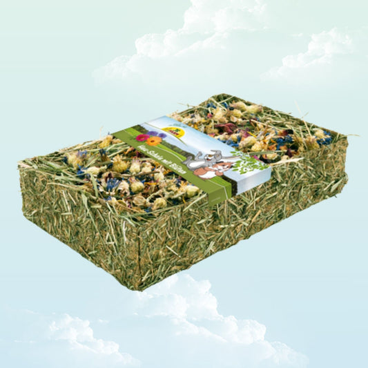 Hay rack with dried flowers enrichment treat for guinea pigs - My Sleepy Friend
