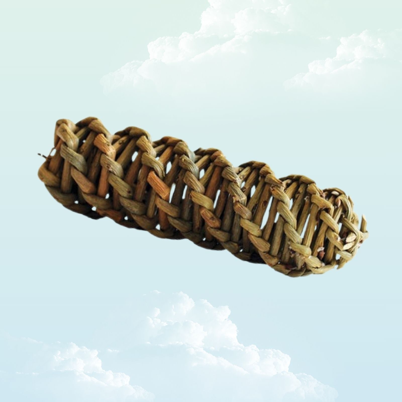 Natural willow spiral chew toy for guinea pigs — My Sleepy Friend